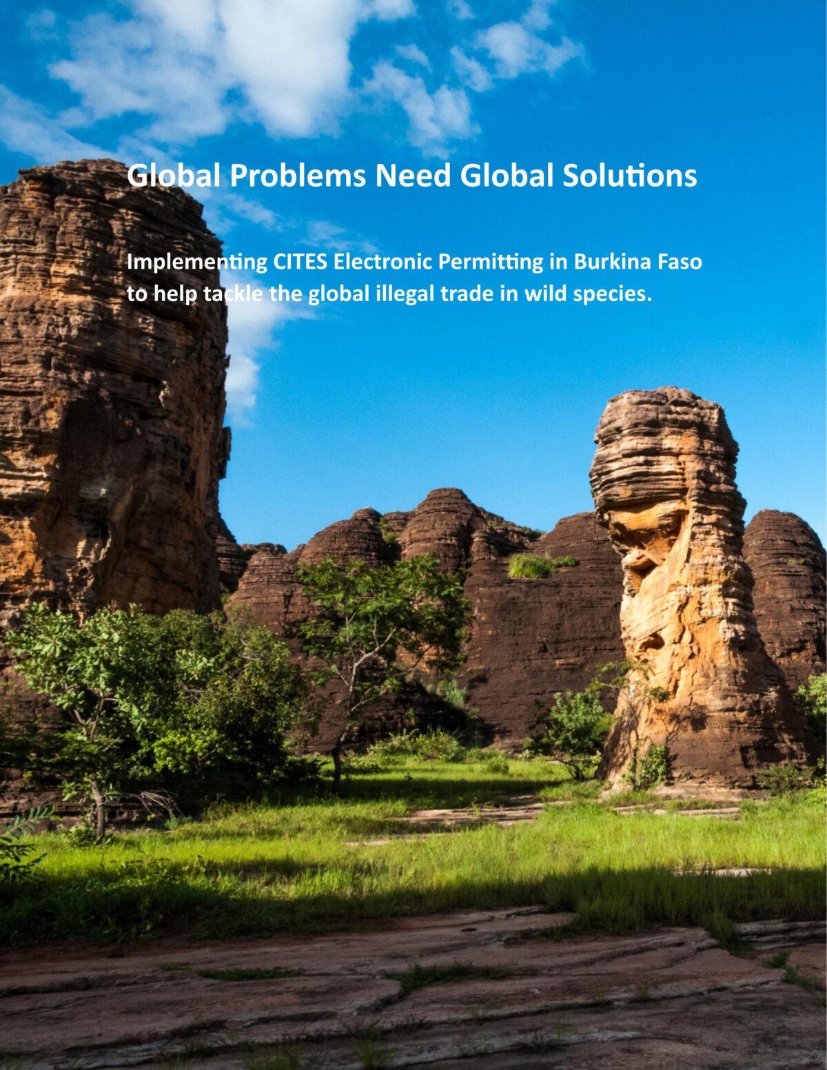 Transparency Matters Active For Animals